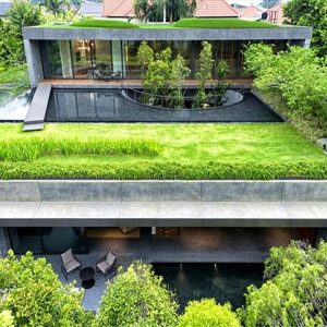 Ưu điểm của vườn trên mái