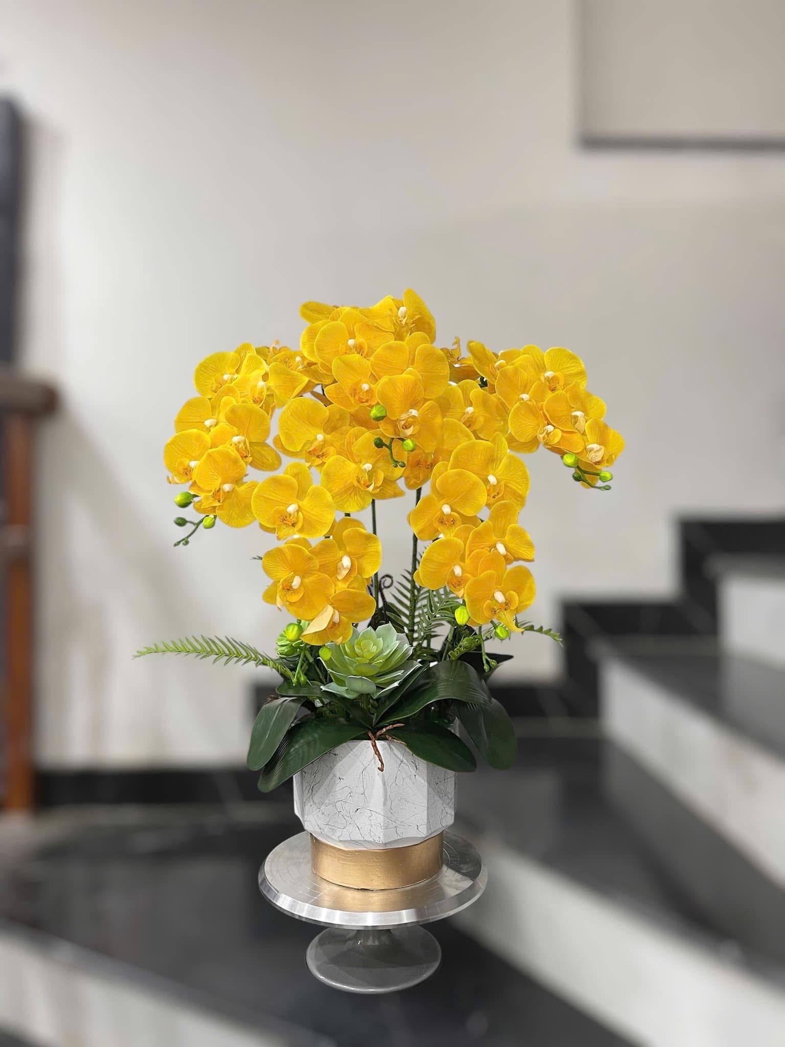 hoa giả lan hồ điệp hoa giả lan hồ điệp